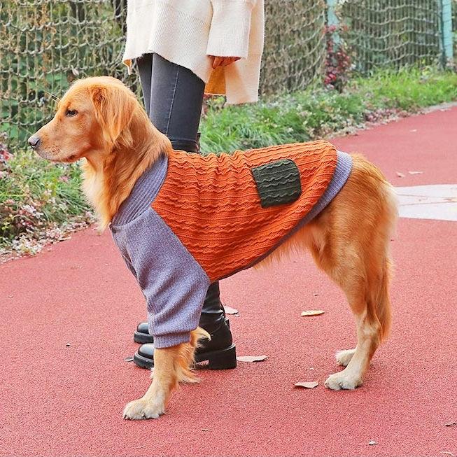 Roupa de Frio para cachorro - Blus?o Hoopet